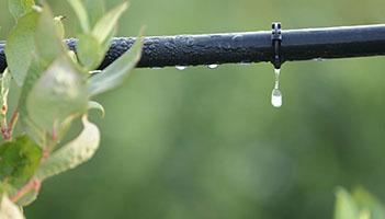 Drip marketing illustrated by a leaky garden hose.