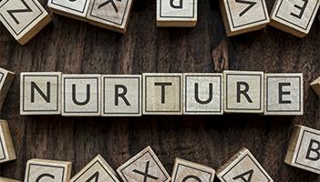 Trigger Email Campaigns