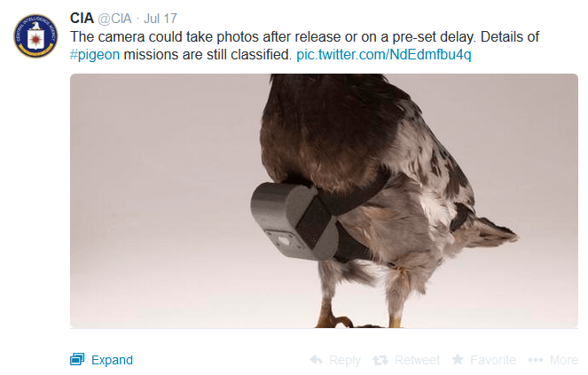 CIA tweets